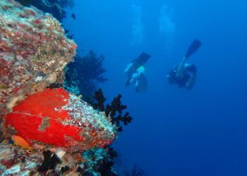 Maldives-The perfect beginning to your forever