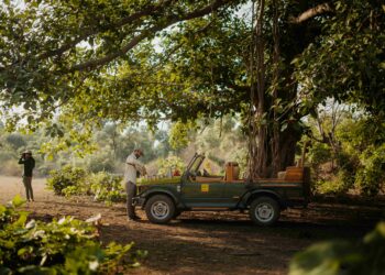 Bagh Tola introduces a new luxury wildlife experience ‘Founders Camp’
