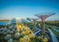 Where clouds dance and flowers bloom: Singapore’s Gardens by the Bay