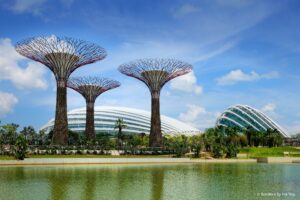 Where clouds dance and flowers bloom: Singapore’s Gardens by the Bay