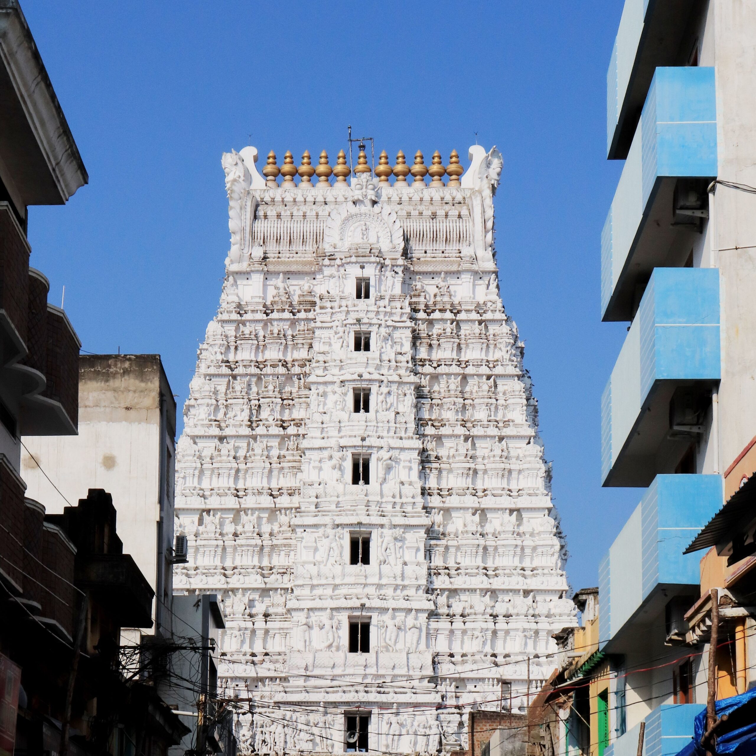 Tirupati eyes global wedding destination status
