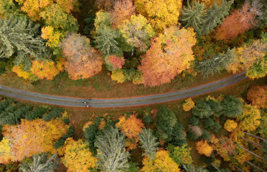 Czechia This Autumn: Castles, Chateau Dinners and Scenic Escapes